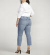 Most Wanted Mid Rise Ankle Straight Leg Jeans Plus Size, , hi-res image number 1
